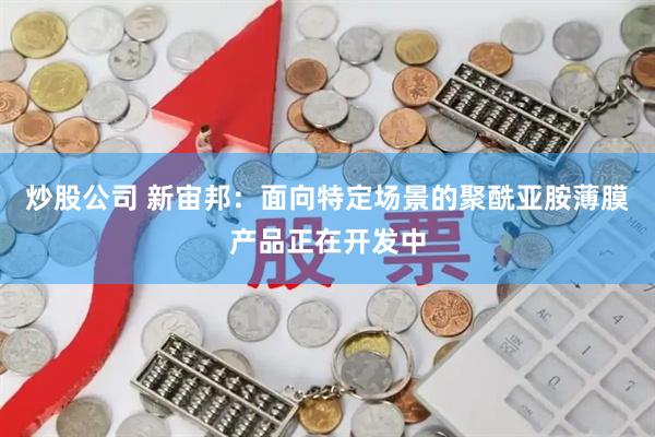 炒股公司 新宙邦：面向特定场景的聚酰亚胺薄膜产品正在开发中